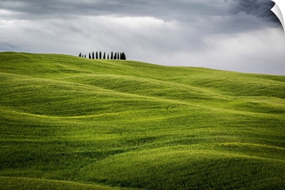 Tuscany, Val d'Orcia, Italy. Cypress trees in green meadow field with clouds gathering