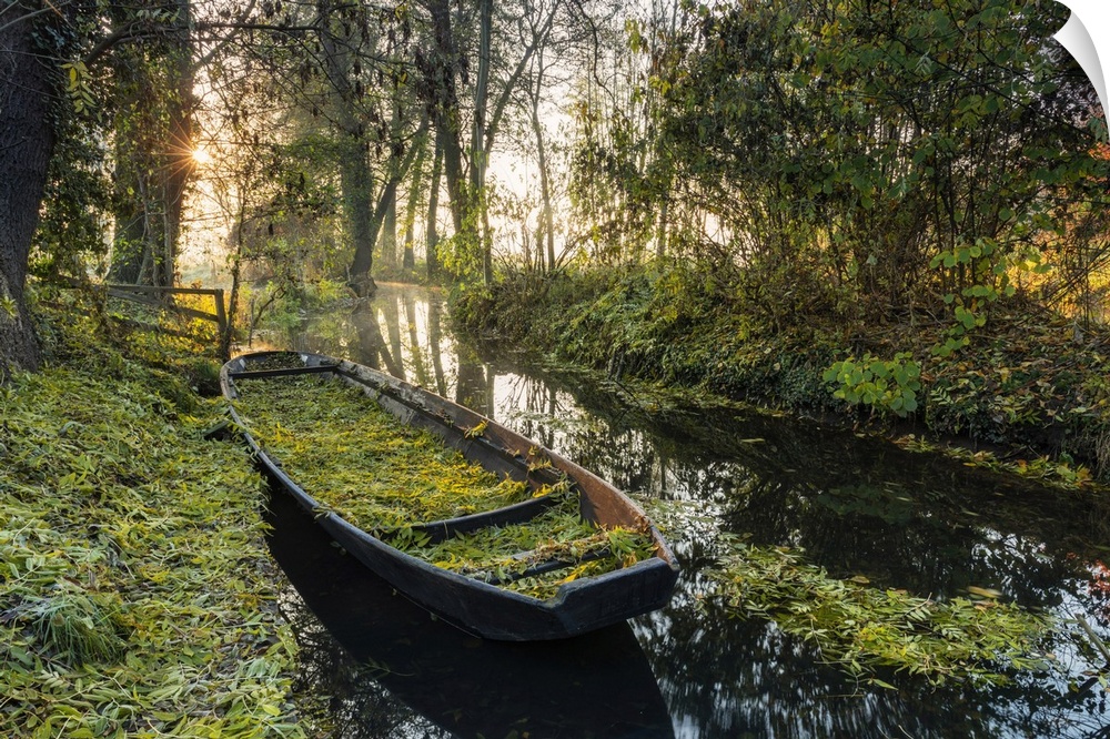 typical boat on a canal in the Spreewald, Biosphere reserve Spreewald, Brandenburg, Germany, Europe.