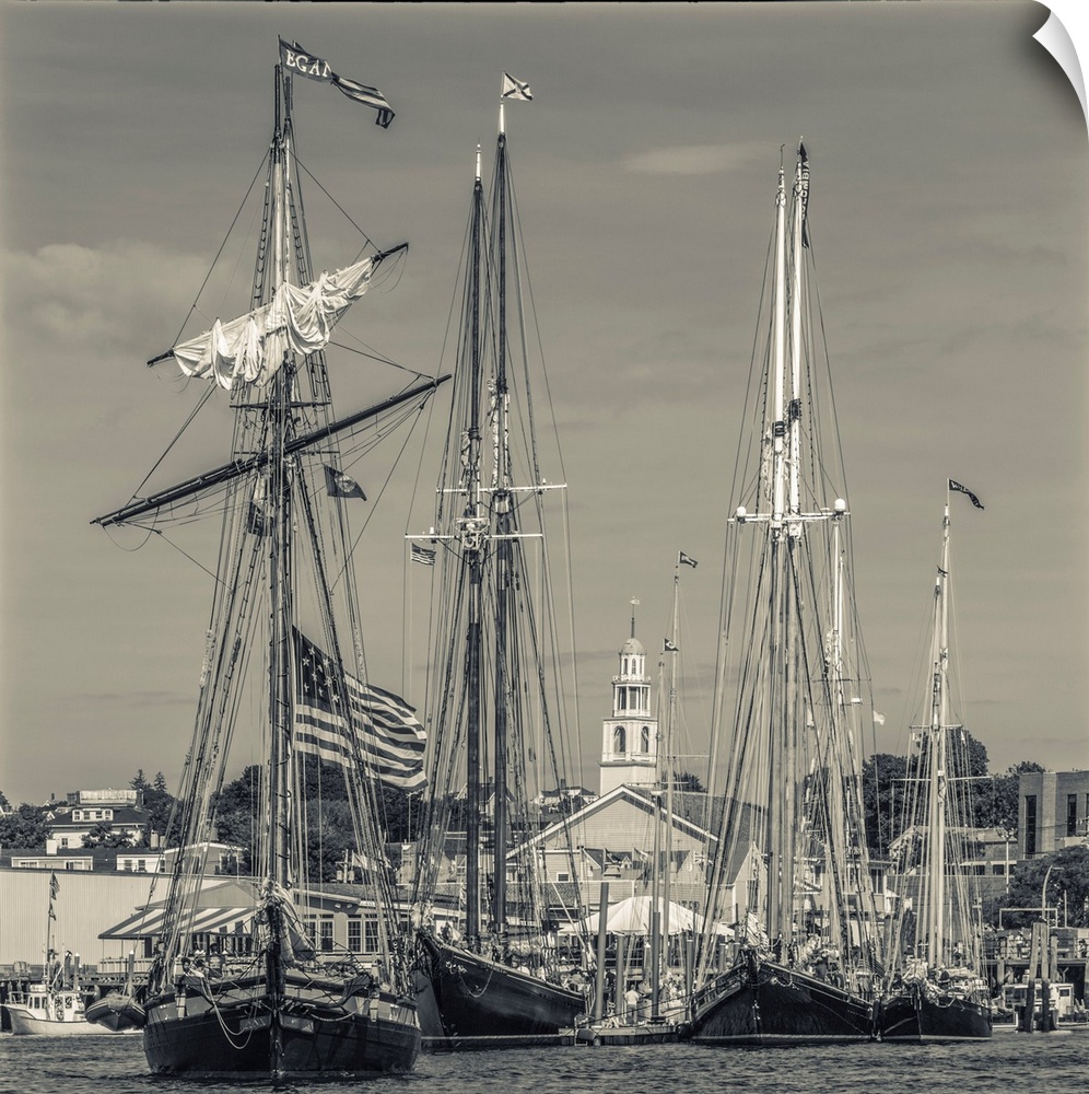 USA, New England, Massachusetts, Cape Ann, Gloucester, Gloucester Schooner Festival, schooner parade of sail, NR.