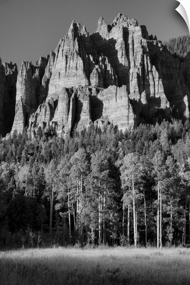 USA, Rocky Mountains, Colorado, Uncompahgre National Forest, Owl Creek Pass.
