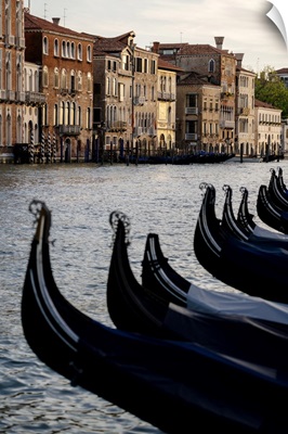 Venice, Veneto, Italy. Gondolas Bows And Grand Canal At Sunset.