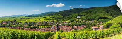 View Above Ribeauville, Alsace, France