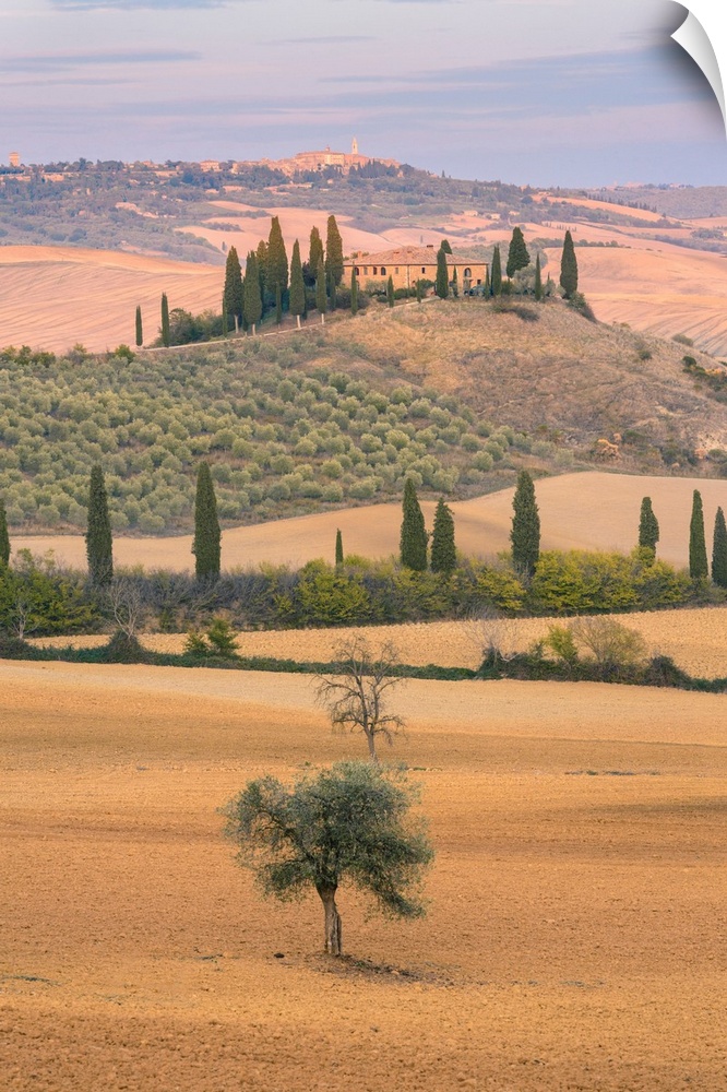 San Quirico d'Orcia, Province Of Siena, Orcia Valley, Tuscany, Italy, Europe. View Of Podere Belvedere At Sunset