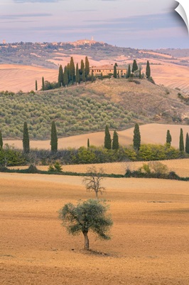 View Of Podere Belvedere At Sunset, San Quirico d'Orcia, Orcia Valley, Tuscany, Italy