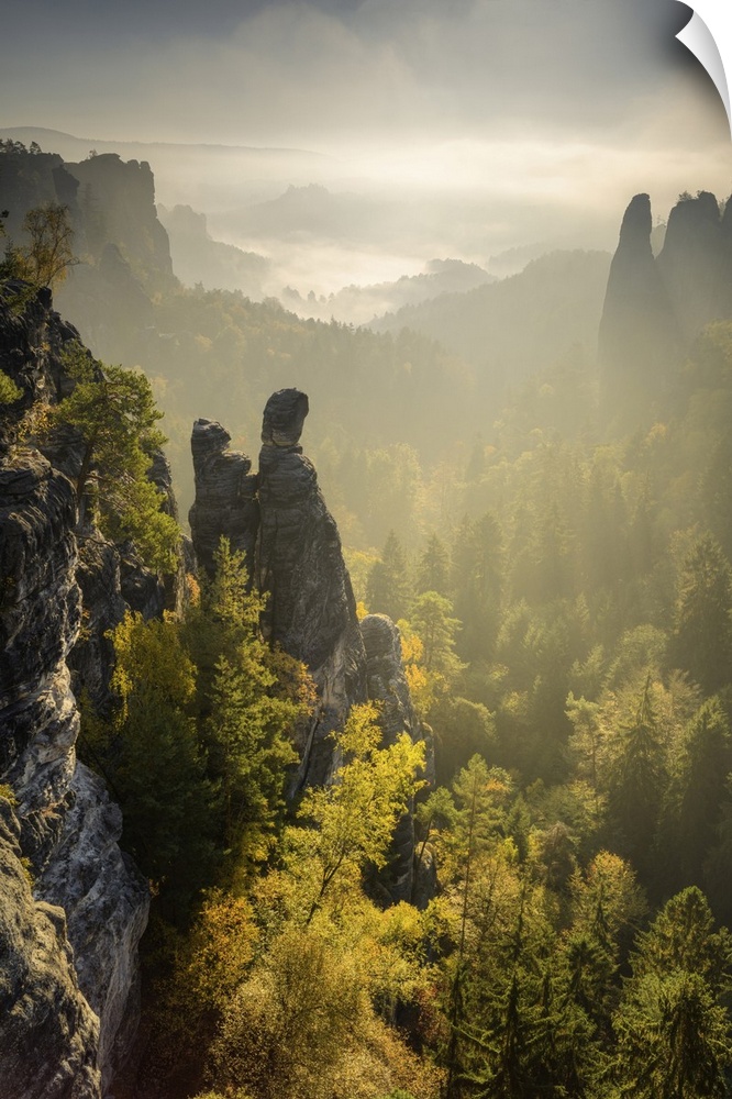 View of the Zitronenkopf rocks in the Elbe Sandstone Mountains, Saxon Switzerland National Park, Saxony, Germany, Europe.