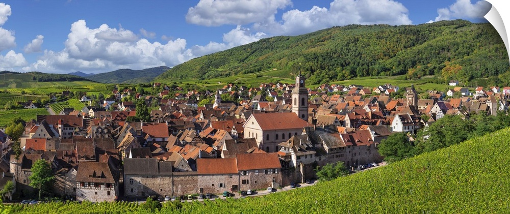 Vineyards around Riquewhir, Alsace, Alsatian Wine Route, Haut-Rhin, France.