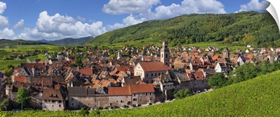 Vineyards Around Riquewhir, Alsace, Alsatian Wine Route, Haut-Rhin, France