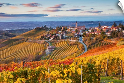 Vineyards, Treiso, Langhe, Piedmont, Italy