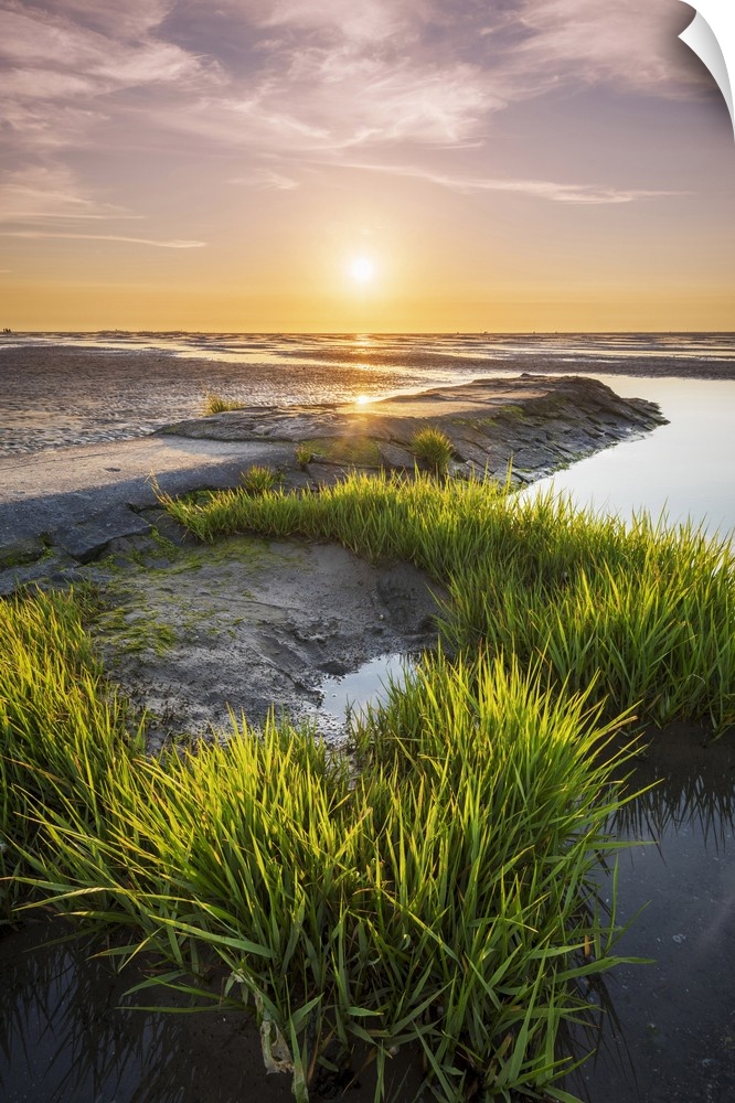 Wadden Sea with low tide, Duhnen, Cuxhaven, Lower Saxony, Germany.