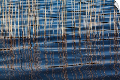 Waves Betweeen A Reed At Idroscalo Lake, Milan, Lombardy, Italy