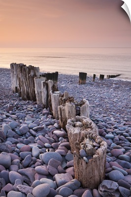 Weathered wooden groyne on Bossington Beach at sunset, Somerset, England