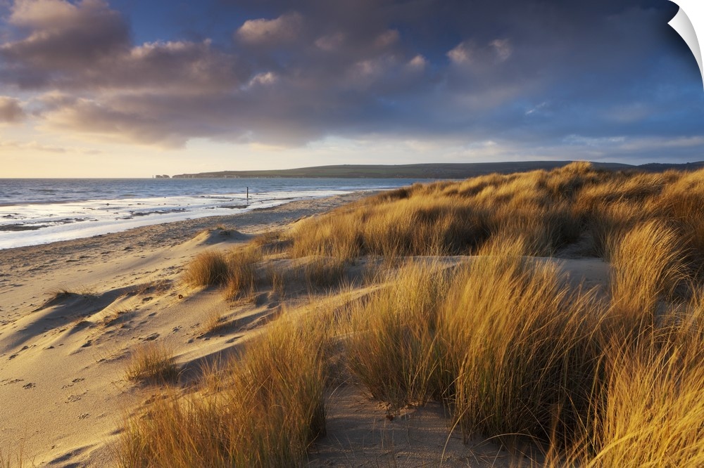 Windswept sand dunes on the beach at Studland Bay, with views towards Old Harry Rocks, Dorset, England. Winter