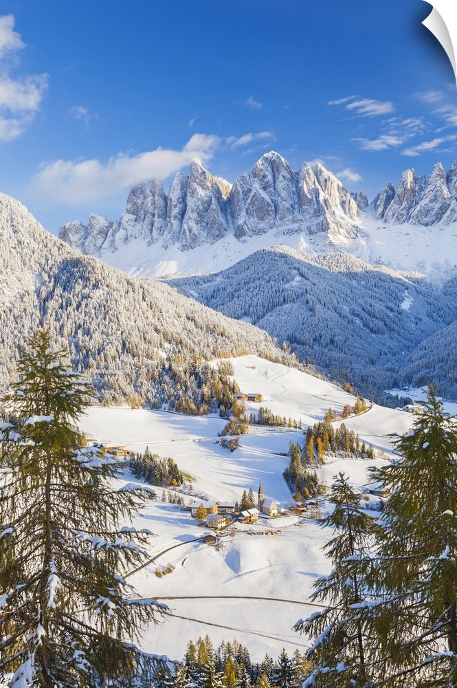 Winter snow; St. Magdalena village; Geisler Spitzen (3060m); Val di Funes; Dolomites mountains; Trentino-Alto Adige; South...