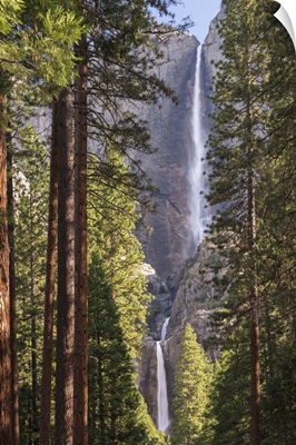 Yosemite Falls through the conifer woodlands of Yosemite Valley, California