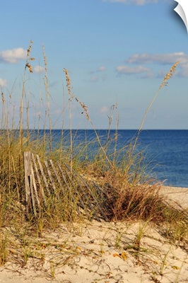 Sand Fence and Dune Grass