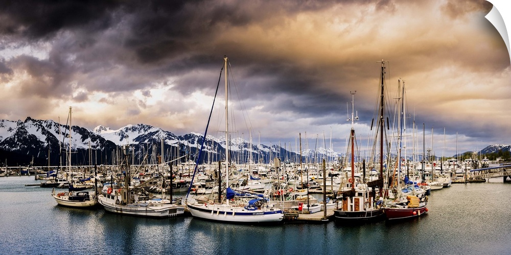 Panoramic photograph of a huge group of sailboats sitting the middle of the water with snow covered mountains in the backg...