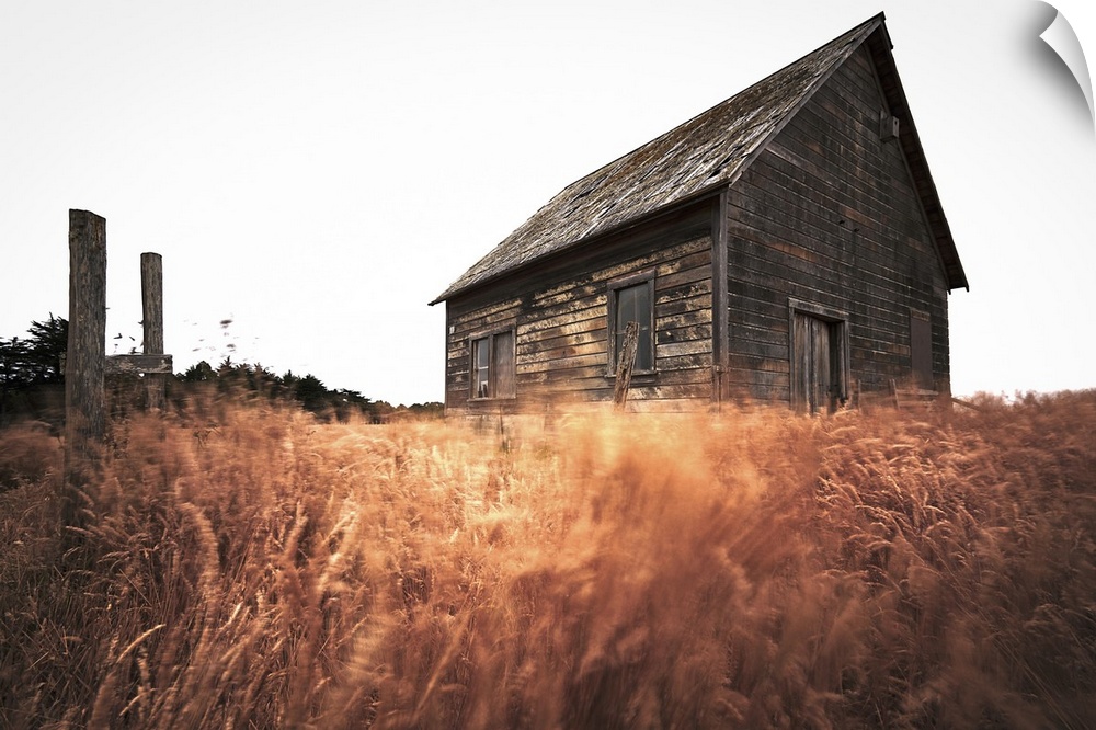 Old Barn and Field, Sonoma, California