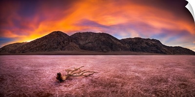 Panorama of Sunrise In Death Valley's Badwater Basin, Badwater Basin