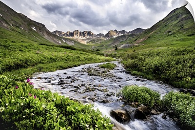 Rushing Stream in a Valley, Gunnison National Forest, Colorado, Summer