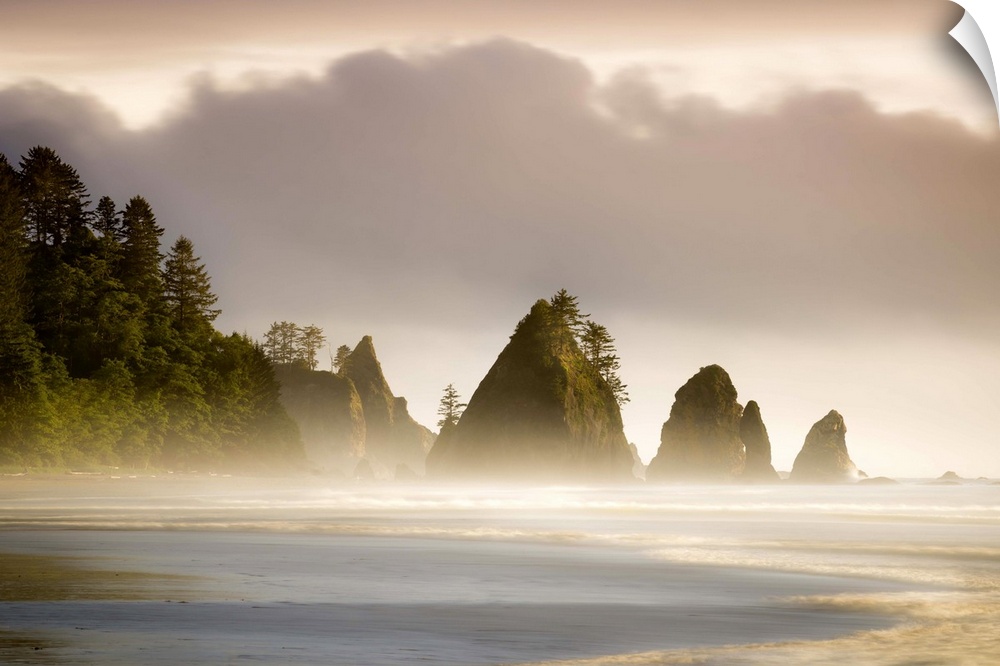 Sunset Over Shi Shi Beach and Seastacks In Washington's Olympic National Park, Olympic National Park