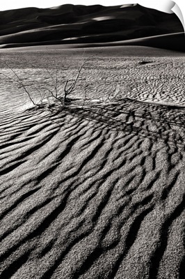 Windswept Sand, Great Sand Dunes National Park and Preserve, Colorado