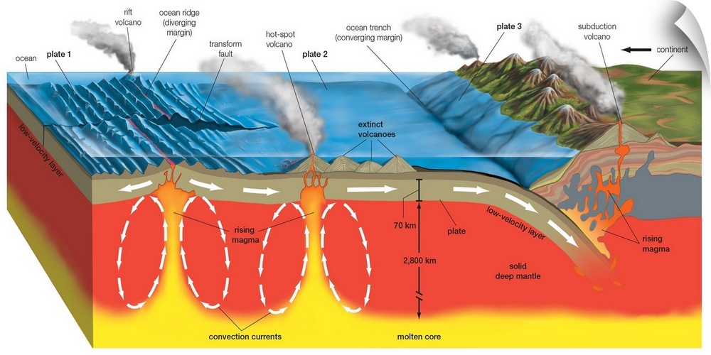 Cross Section Of Plate Boundaries Formed By Ocean Ridges (Rift Zones), Strike-Slip (Transform) Faults, And Subduction Zones