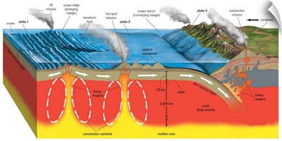 Cross Section Of Plate Boundaries Formed By Ridges, Faults, And Subduction