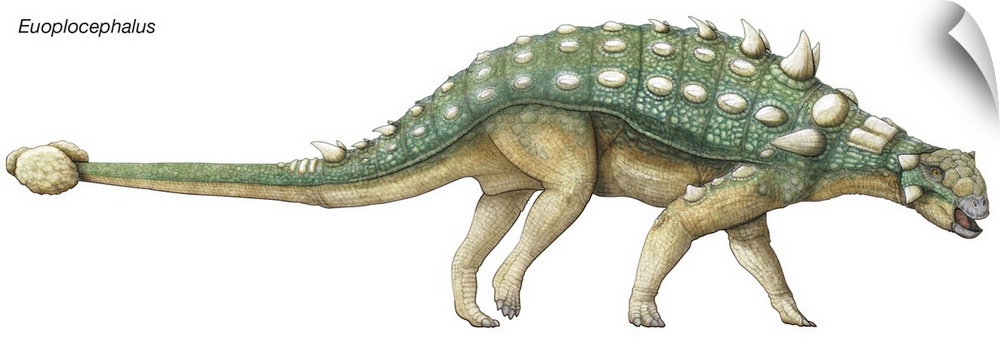 An illustration from Encyclopaedia Britannica of the dinosaur Euoplocephalus.