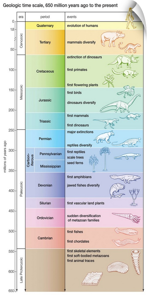 An educational poster from Encyclopaedia Britannica showing the geologic time scale and animals that lived during each era.
