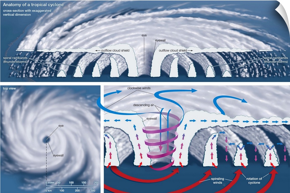 Educational illustration of a Tropical Cyclone.