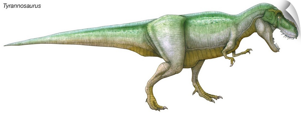 An illustration from Encyclopaedia Britannica of the dinosaur Tyrannosaurus