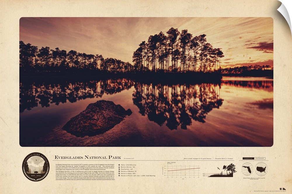 An informational graphic poster featuring an image of the Everglades with several facts and figures.