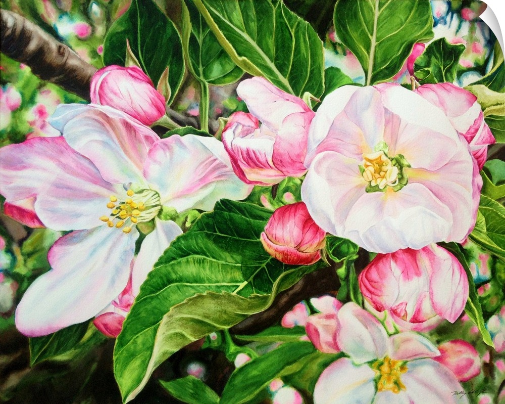 A contemporary watercolor painting of pink and white apple blossoms on a tree.