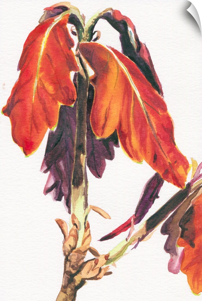 Vertical watercolor painting of Baby Oak Leaves.