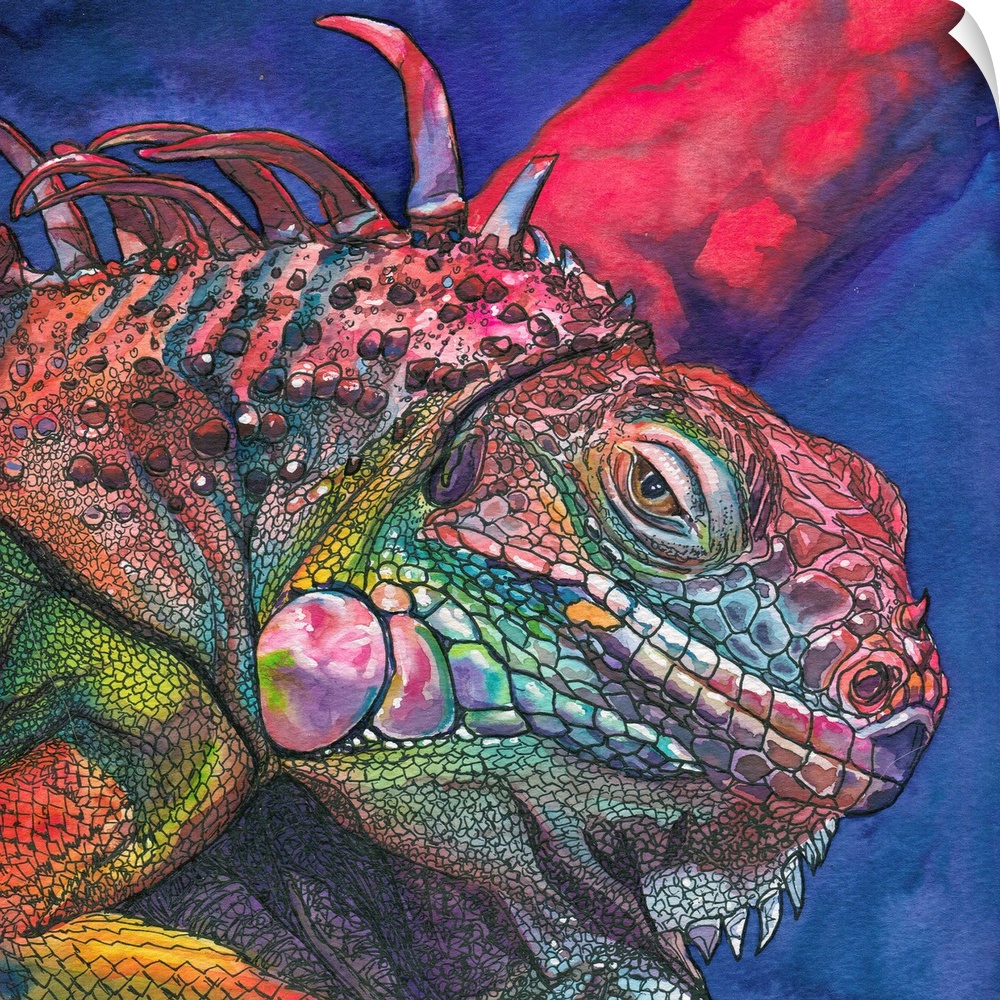 A watercolor and ink painting of a multi-colored iguana.