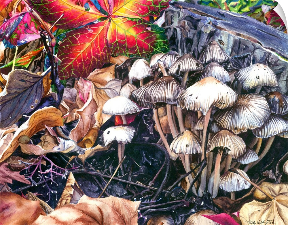 A contemporary watercolor painting of a group of mushrooms that were recently covered from beneath a pike of leaves.