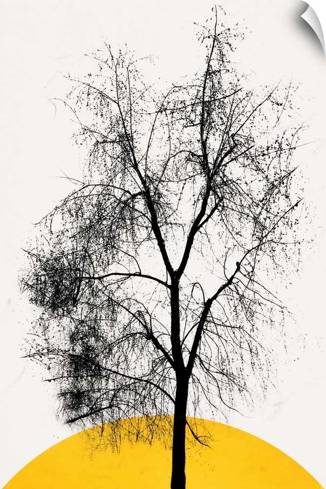 Dark Feather Tree