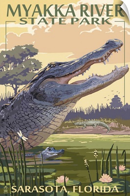 Alligator, Myakka River State Park, Sarasota, Florida