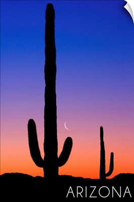Arizona, Cactus and Moon
