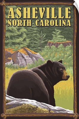 Asheville, North Carolina, Black Bear in Forest