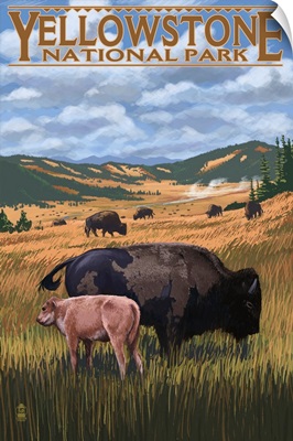 Bison and Calf Grazing - Yellowstone National Park: Retro Travel Poster
