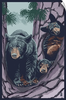 Black Bear & Cubs In Tree