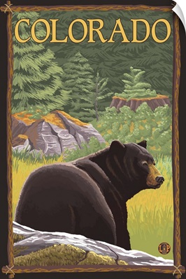 Black Bear in Forest - Colorado: Retro Travel Poster