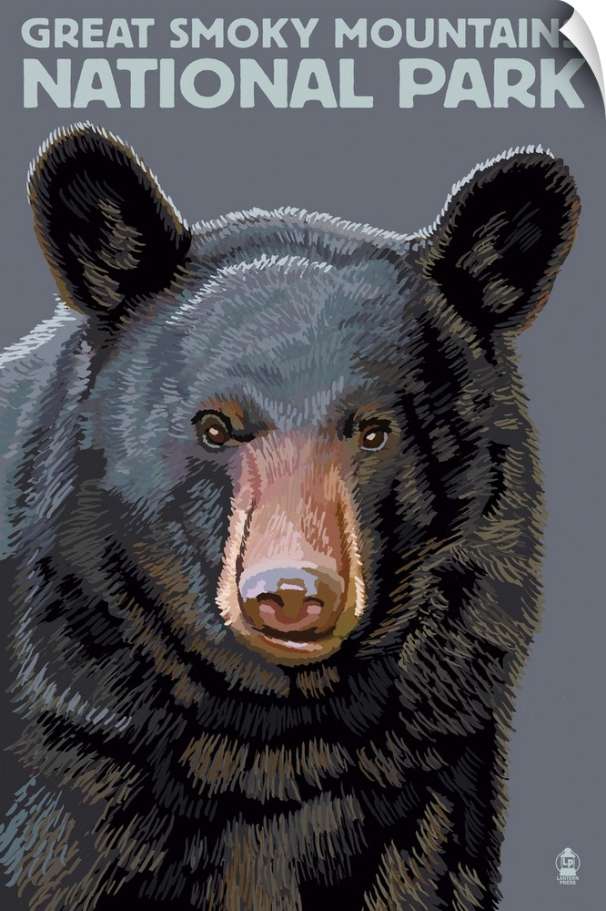 Black Bear Up Close - Great Smoky Mountains National Park, TN: Retro Travel Poster
