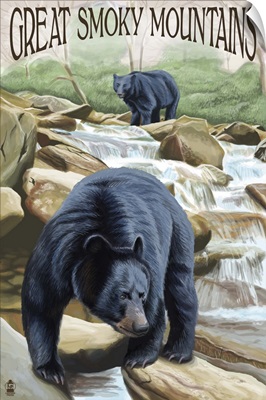 Black Bears Fishing, Great Smoky Mountains
