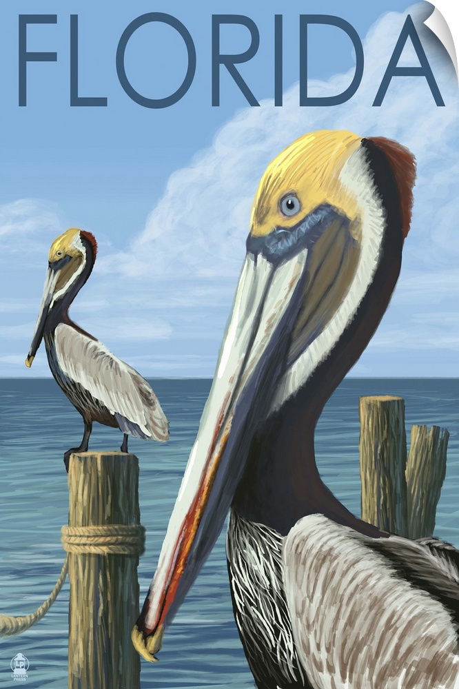 Brown Pelicans - Florida: Retro Travel Poster