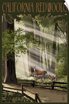 California, Deer and Fawns in Redwoods