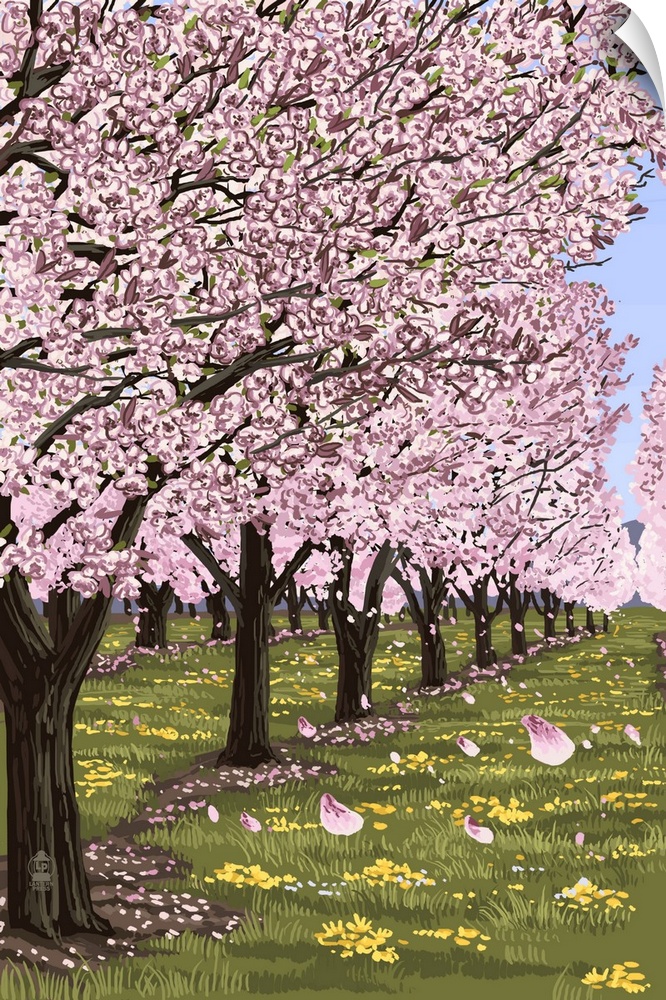 Retro stylized art poster of a cherry blossom orchard in full bloom, with lush green grass.