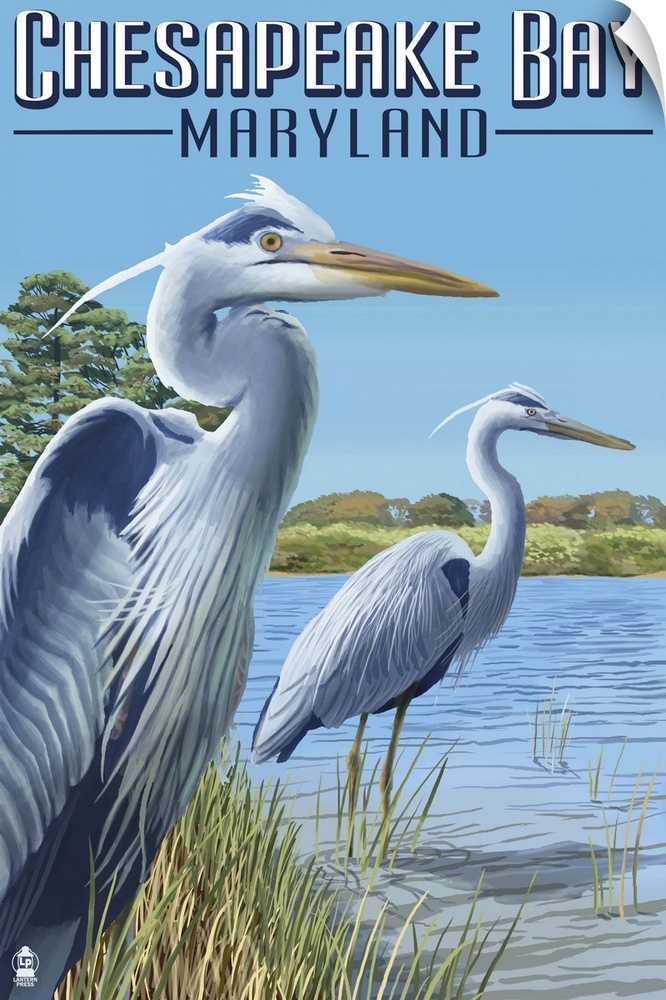 Chesapeake Bay, Maryland - Blue Heron: Retro Travel Poster