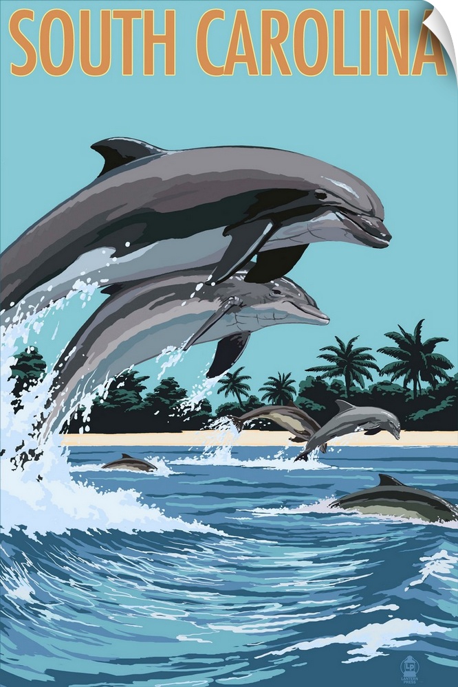Dolphins Swimming, South Carolina